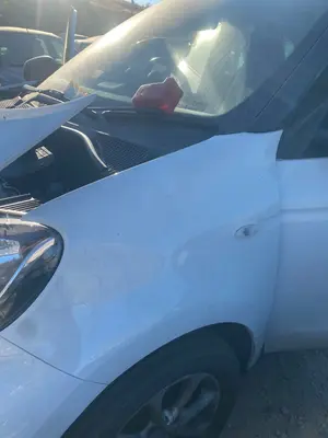 Foto de ALETA DELANTERA IZQUIERDA SMART FORFOUR