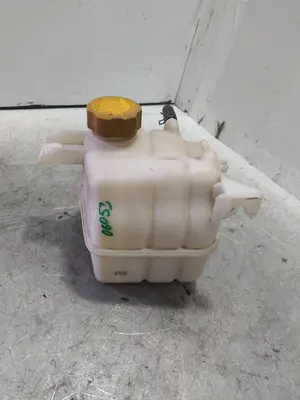Foto de DEPOSITO EXPANSION RENAULT MEGANE I CLASSIC (LA0) 2.0 CAT (114 CV / 84 KW)