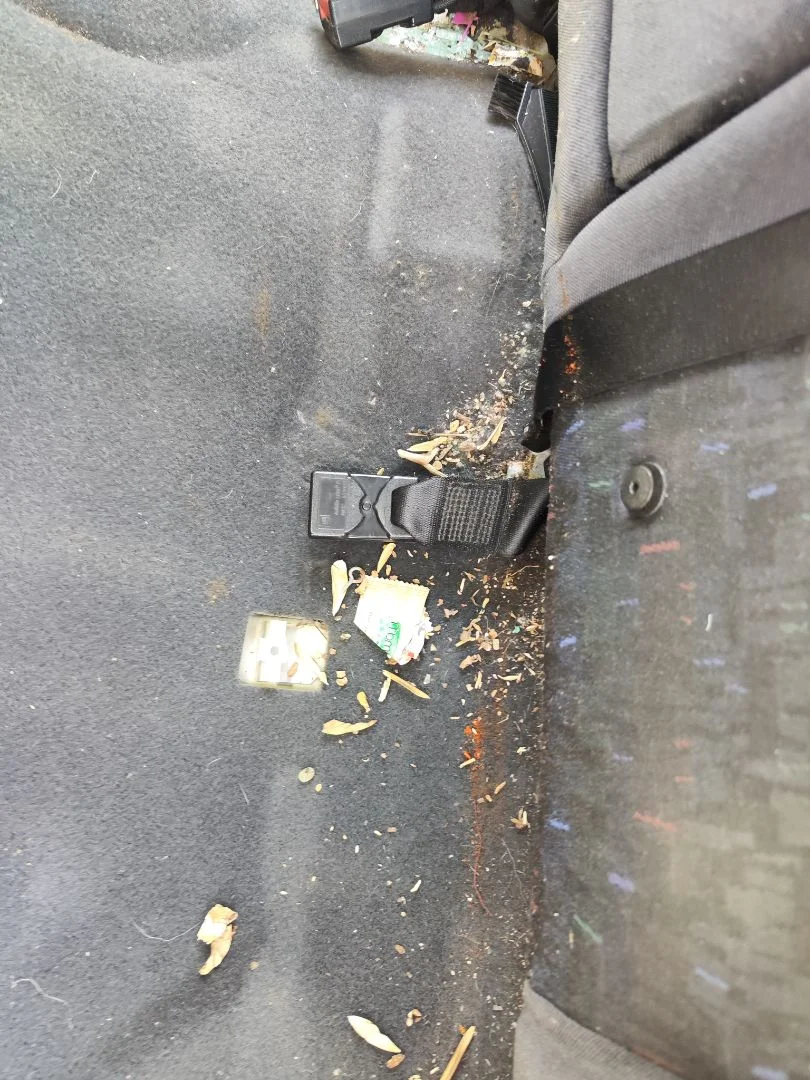 Foto de ENGANCHE CINTURON TRASERO IZQUIERDO OPEL VECTRA B BERLINA 2.0 DTI (101 CV / 74 KW)