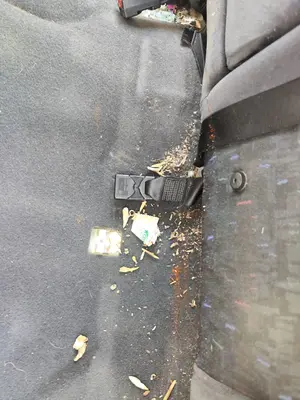 Foto de ENGANCHE CINTURON TRASERO IZQUIERDO OPEL VECTRA B BERLINA 2.0 DTI (101 CV / 74 KW)