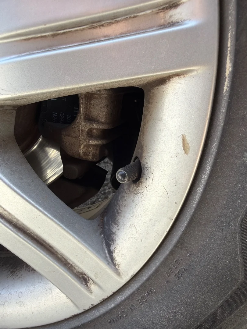 Foto de PINZA DE FRENO TRASERA DERECHA SEAT LEON (1P1)