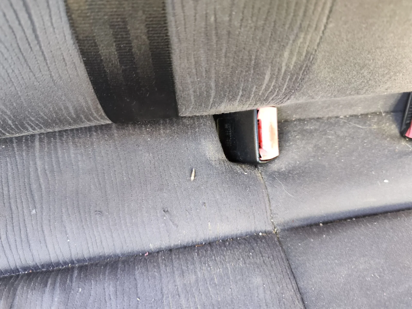Foto de ENGANCHE CINTURON TRASERO DERECHO AUDI A6 BERLINA (4B2) 2.4 V6 30V (165 CV / 121 KW)