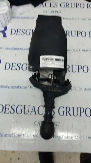Foto de POMO PALANCA CAMBIO NISSAN INTERSTAR (X70) 2.5 dCi Diesel CAT (114 CV / 84 KW) referencia 8200201293