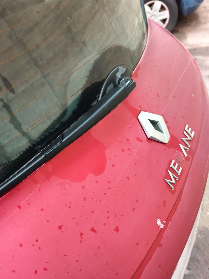 Foto de MOTOR LIMPIA TRASERO RENAULT MEGANE II BERLINA 5P 1.5 dCi Diesel (106 CV / 78 KW)