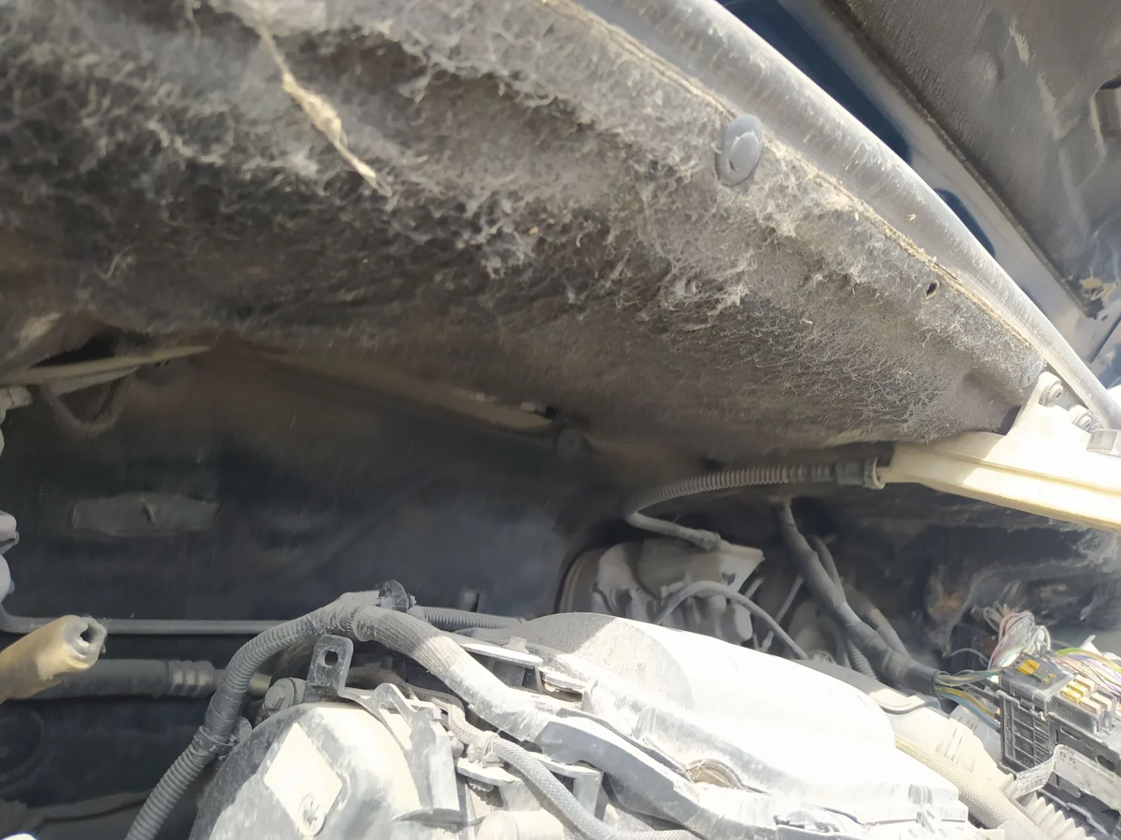 Foto de MOTOR LIMPIA DELANTERO CITROEN C4 PICASSO 2.0 HDi FAP (150 CV / 110 KW)