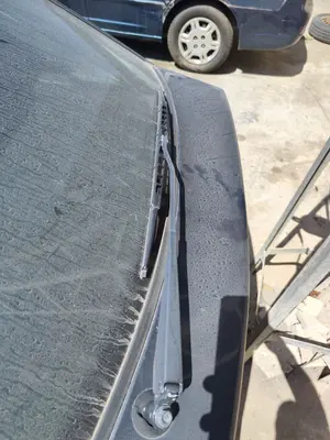 Foto de BRAZO LIMPIA TRASERO CITROEN XSARA BERLINA 2.0 HDi CAT (RHY / DW10TD) (90 CV / 66 KW)