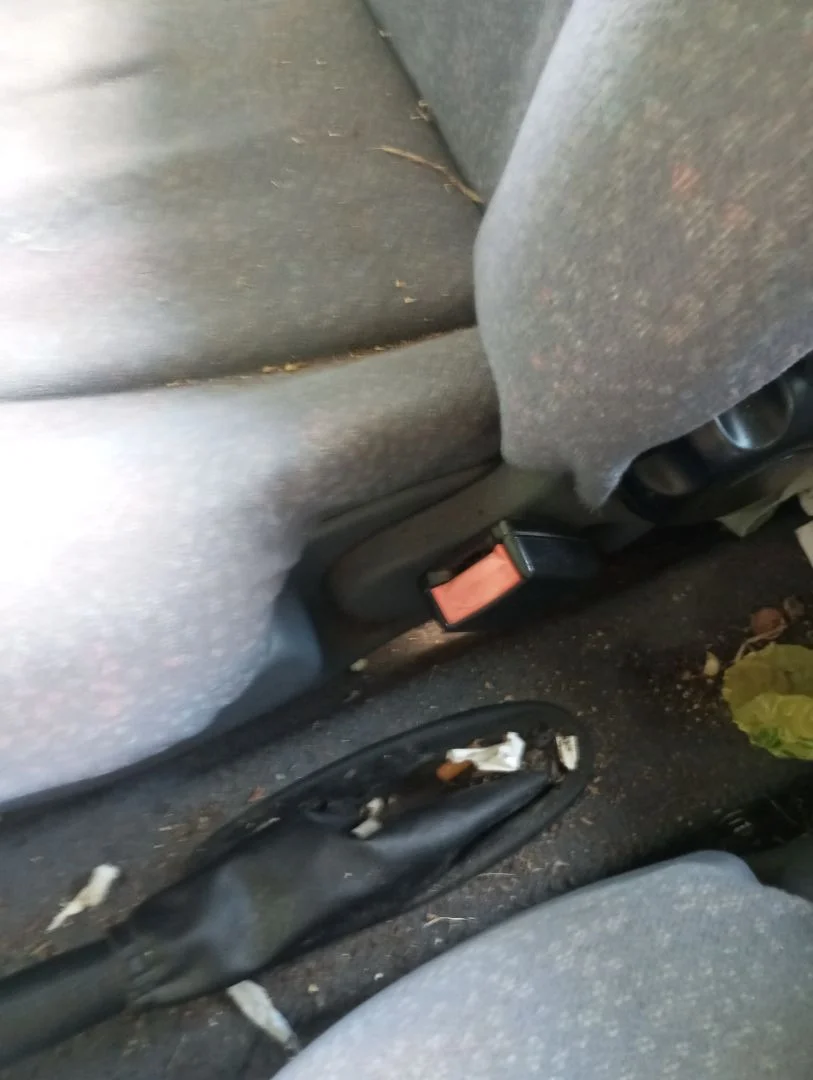 Foto de ENGANCHE CINTURON DELANTERO DERECHO FORD KA (CCQ) 1.3 CAT (50 CV / 37 KW)