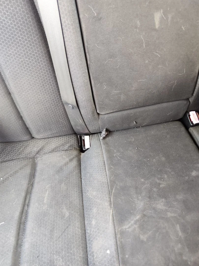 Foto de ENGANCHE CINTURON TRASERO DERECHO RENAULT MEGANE II BERLINA 3P 1.9 dCi Diesel (120 CV / 88 KW)