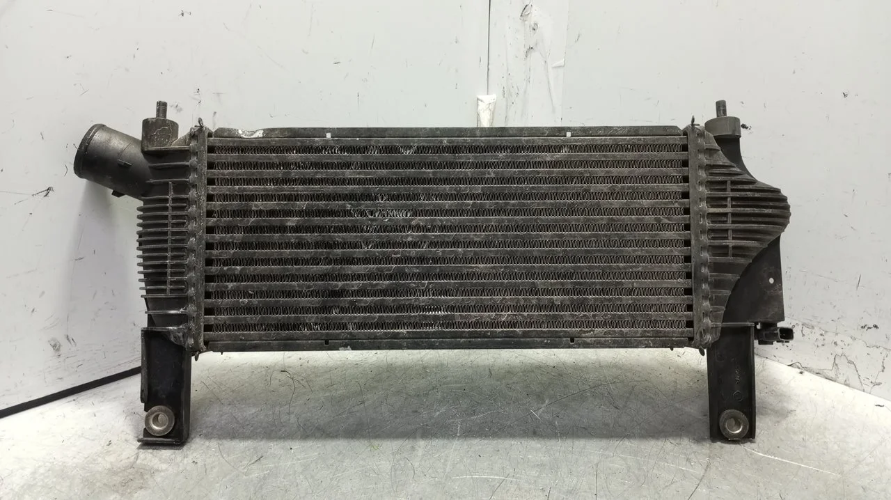 Foto de INTERCOOLER NISSAN PATHFINDER (R51) 2.5 dCi Diesel CAT (171 CV / 126 KW) referencia 14461EB360