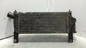 Foto de INTERCOOLER NISSAN PATHFINDER (R51) 2.5 dCi Diesel CAT (171 CV / 126 KW) referencia 14461EB360