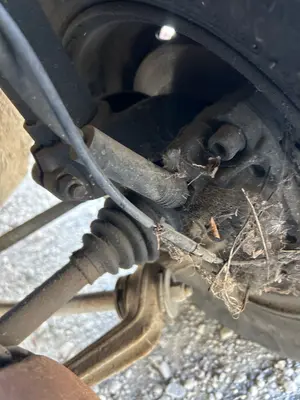 Foto de PINZA DE FRENO DELANTERA DERECHA PEUGEOT 309 1.6  (88 CV / 65 KW)