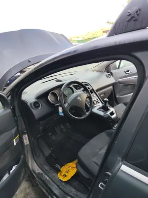 Foto de GOMAS CONTORNO PUERTA PEUGEOT 5008 1.6 HDi FAP CAT (9HZ / DV6TED4) (109 CV / 80 KW)