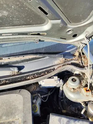 Foto de BRAZO LIMPIA DELANTERO IZQUIERDO SEAT CORDOBA BERLINA (6L2) 1.4 16V (75 CV / 55 KW) referencia 6L1955409C foto 5