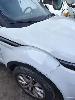 Foto de CAPO LAND ROVER RANGE ROVER EVOQUE 2.0 Td4 CAT (150 CV / 110 KW) foto 2