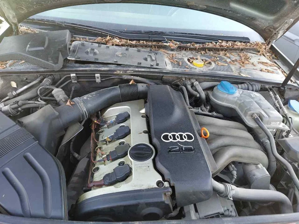Foto de MOTOR COMPLETO AUDI A4 BERLINA (8E) 2.0 20V CAT (ALT) (131 CV / 96 KW) referencia ALT