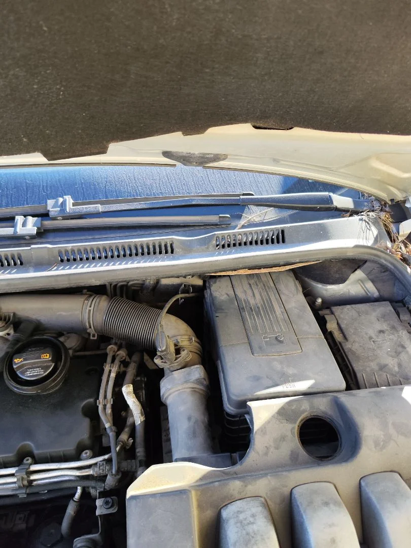 Foto de BRAZO LIMPIA DELANTERO IZQUIERDO VOLKSWAGEN GOLF PLUS V (5M1) 1.9 TDI (105 CV / 77 KW)