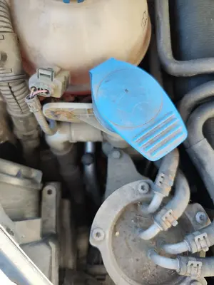 Foto de DEPOSITO LIMPIA VOLKSWAGEN GOLF PLUS V (5M1) 1.9 TDI (105 CV / 77 KW)