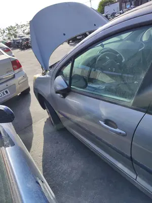 Foto de PUERTA DELANTERA IZQUIERDA PEUGEOT 207 SW 1.4 16V VTi (95 CV / 70 KW) referencia 9002X5 foto 7