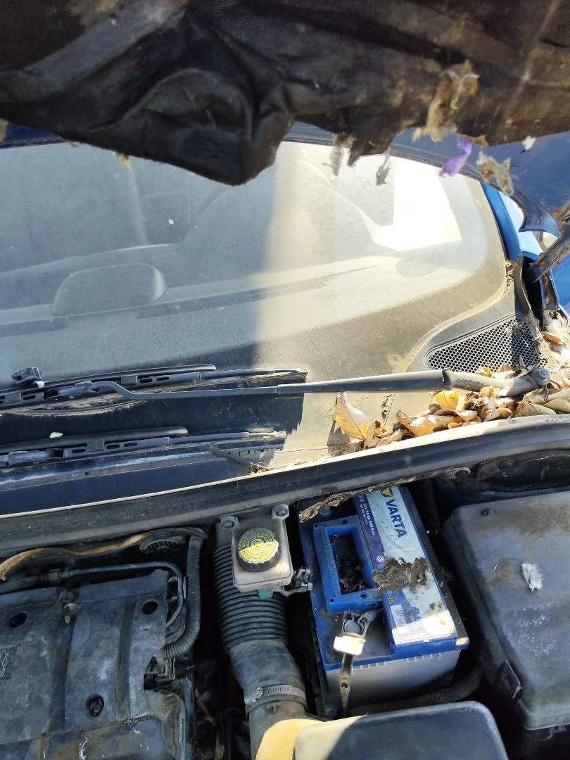 Foto de BRAZO LIMPIA DELANTERO IZQUIERDO PEUGEOT 307 (S1)(04.2001) 1.6 16V CAT (109 CV / 80 KW) referencia 6429S9