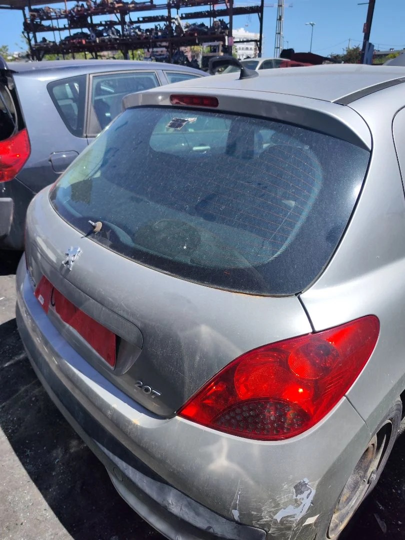 Foto de PORTON TRASERO PEUGEOT 207 1.4 (73 CV / 54 KW) referencia 8701CS