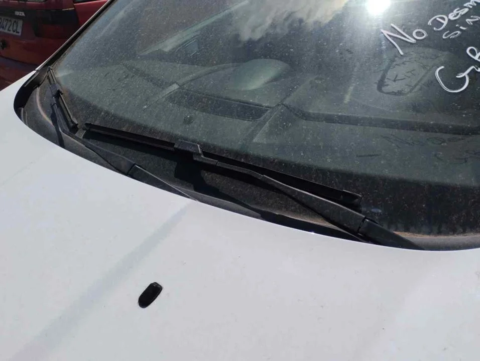 Foto de BRAZO LIMPIA DELANTERO IZQUIERDO FORD FIESTA (CNN) 1.5 TDCi CAT (75 CV / 55 KW) referencia 2026776