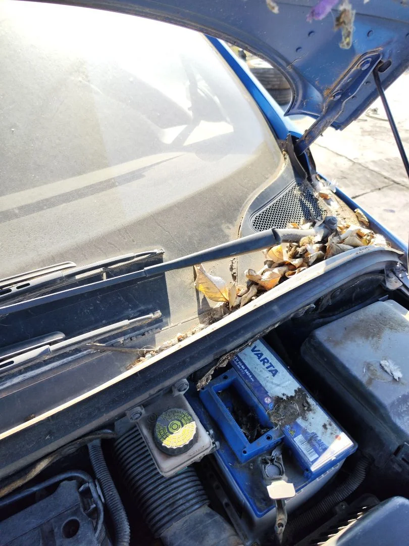 Foto de MOTOR LIMPIA DELANTERO PEUGEOT 307 BREAK / SW (S1)(04.2002) 2.0 16V HDi FAP CAT (RHR / DW10BTED4) (136 CV / 100 KW) referencia 6405J6