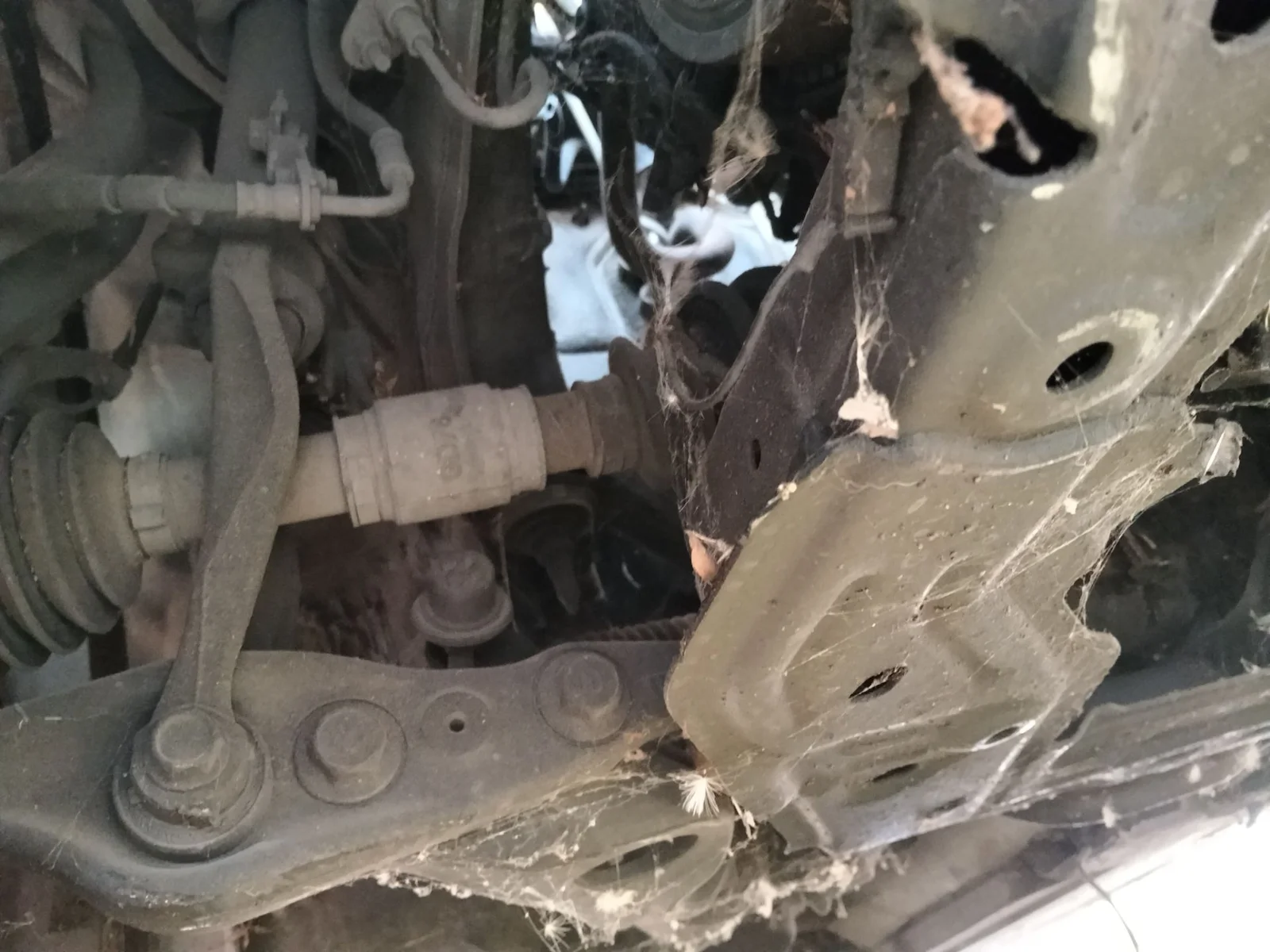 Foto de BARRA ESTABILIZADORA DELANTERA MAZDA 6 BERLINA (GH) 2.2 Turbodiesel CAT (163 CV / 120 KW) referencia GS1D-34-151A