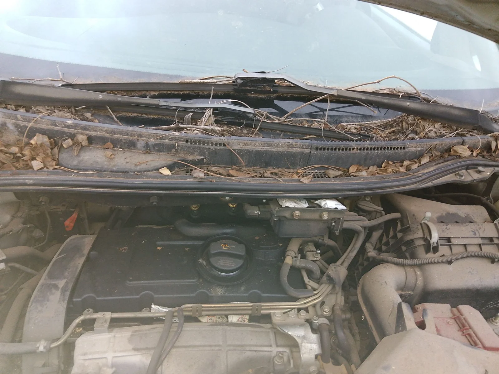 Foto de MOTOR LIMPIA DELANTERO MITSUBISHI GRANDIS (NA0W) 2.0 DI-D CAT (136 CV / 100 KW)