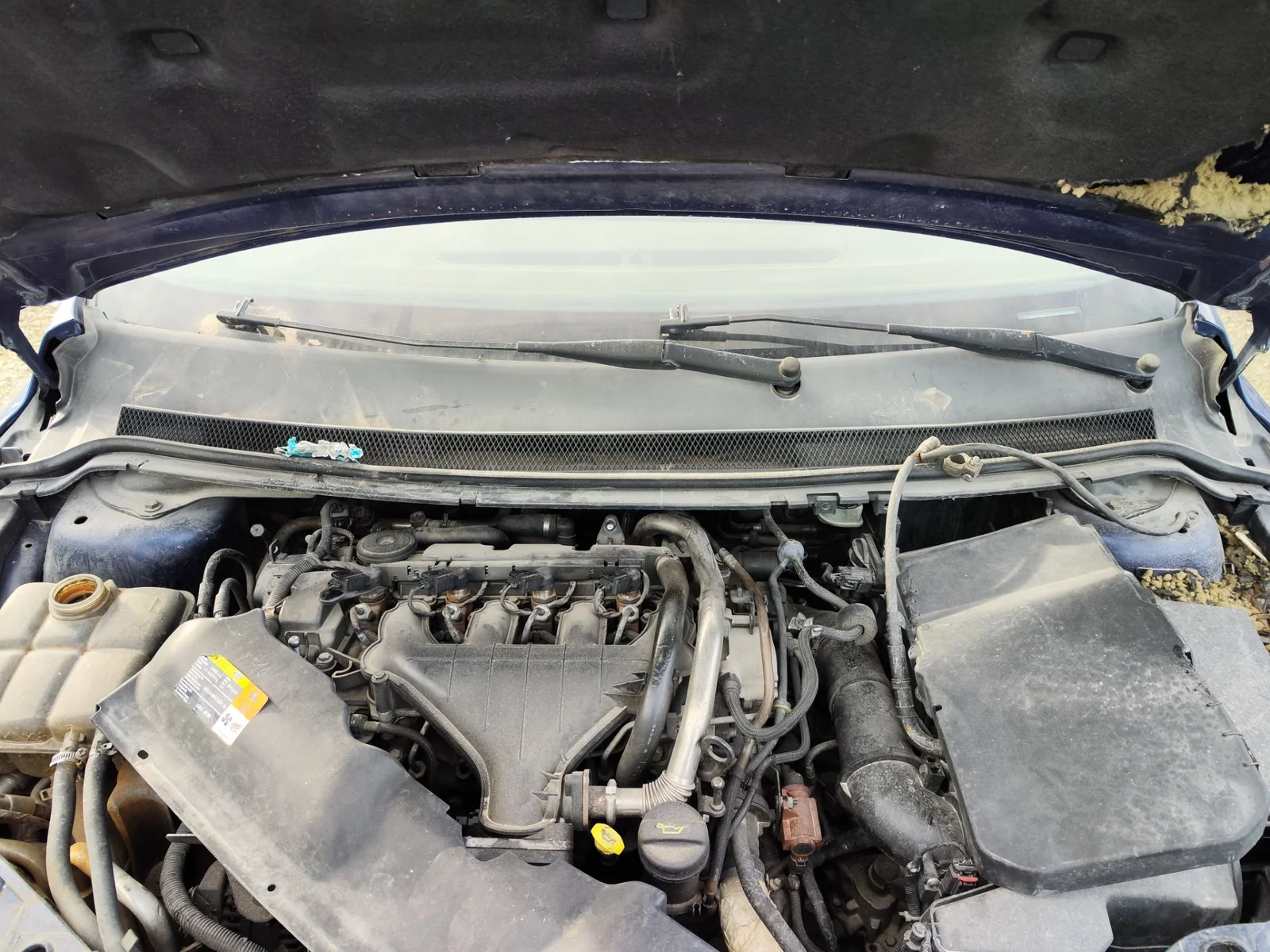 Foto de TORPEDO FORD FOCUS CABRIO (CA5) 2.0 TDCi CAT (136 CV / 100 KW)