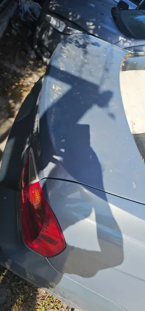 Foto de PORTON TRASERO BMW SERIE 3 BERLINA (E90) 2.0 CAT (129 CV / 95 KW)