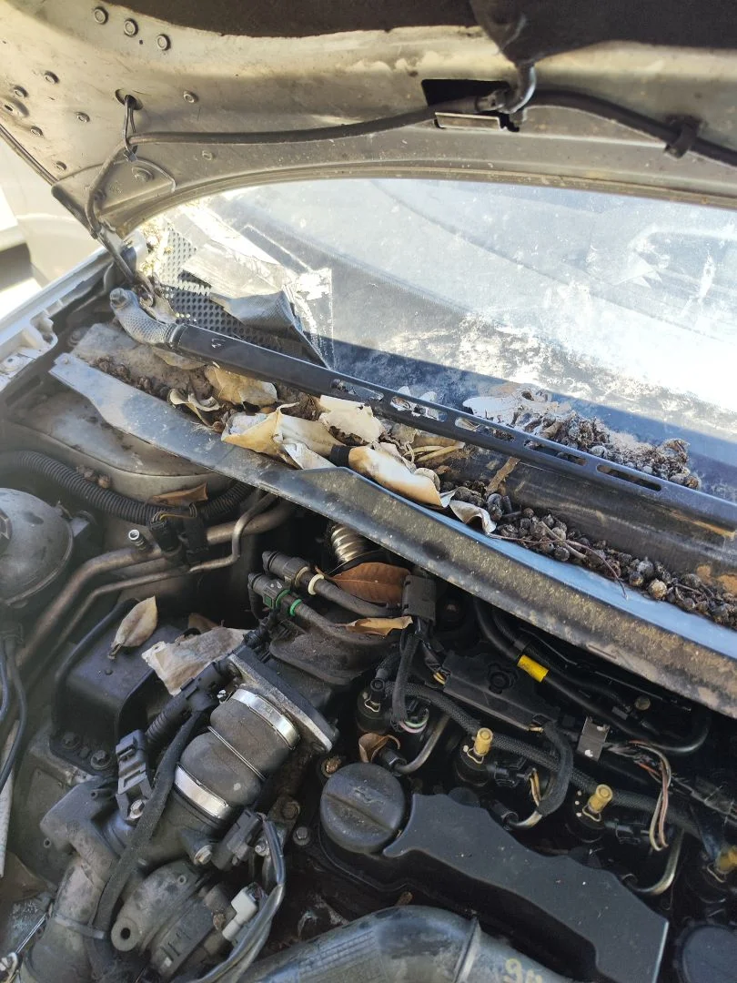 Foto de MOTOR LIMPIA DELANTERO CITROEN C4 BERLINA 1.6 16V HDi (90 CV / 66 KW)