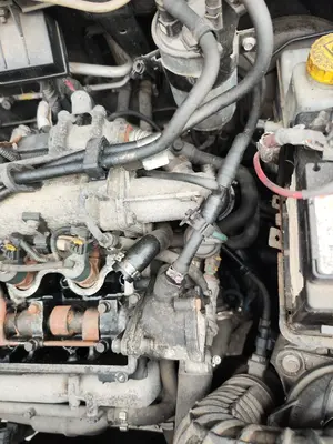 Foto de DESPIECE MOTOR FIAT I DOBLÒ (119) 1.9 JTD CAT (105 CV / 77 KW) referencia 223B1000 foto 5