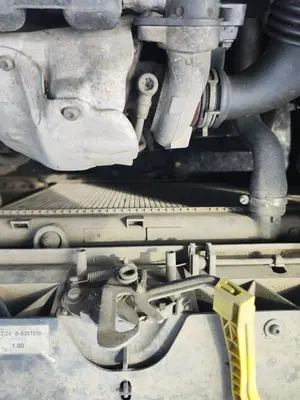Foto de CERRADURA CAPO CITROEN BERLINGO FURGÓN 1.6 16V HDi FAP (90 CV / 66 KW)