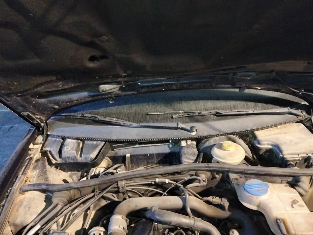 Foto de TORPEDO VOLKSWAGEN PASSAT BERLINA (3B2) 1.9 TDI (110 CV / 81 KW)