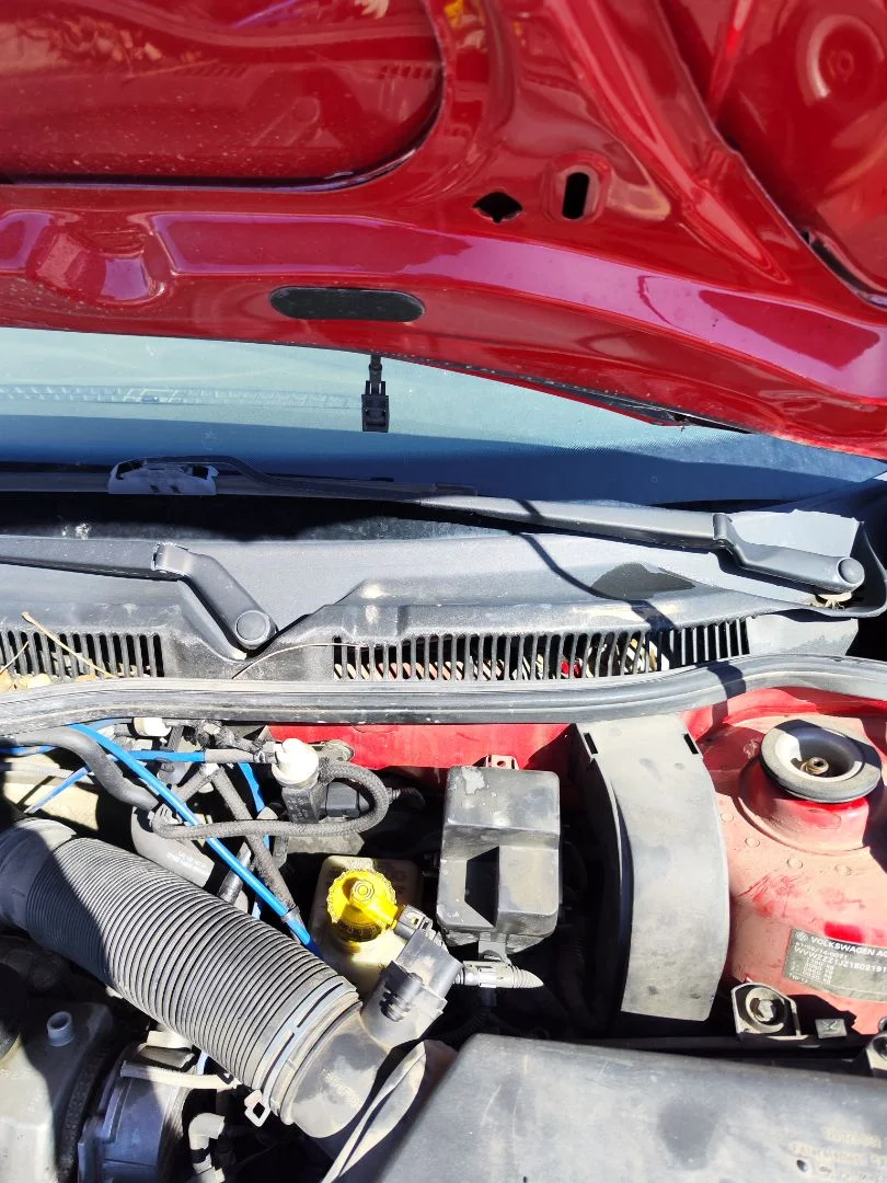Foto de BRAZO LIMPIA DELANTERO IZQUIERDO VOLKSWAGEN GOLF IV BERLINA (1J1)(10.1997) 1.9 TDI (90 CV / 66 KW)