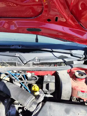 Foto de BRAZO LIMPIA DELANTERO IZQUIERDO VOLKSWAGEN GOLF IV BERLINA (1J1)(10.1997) 1.9 TDI (90 CV / 66 KW)