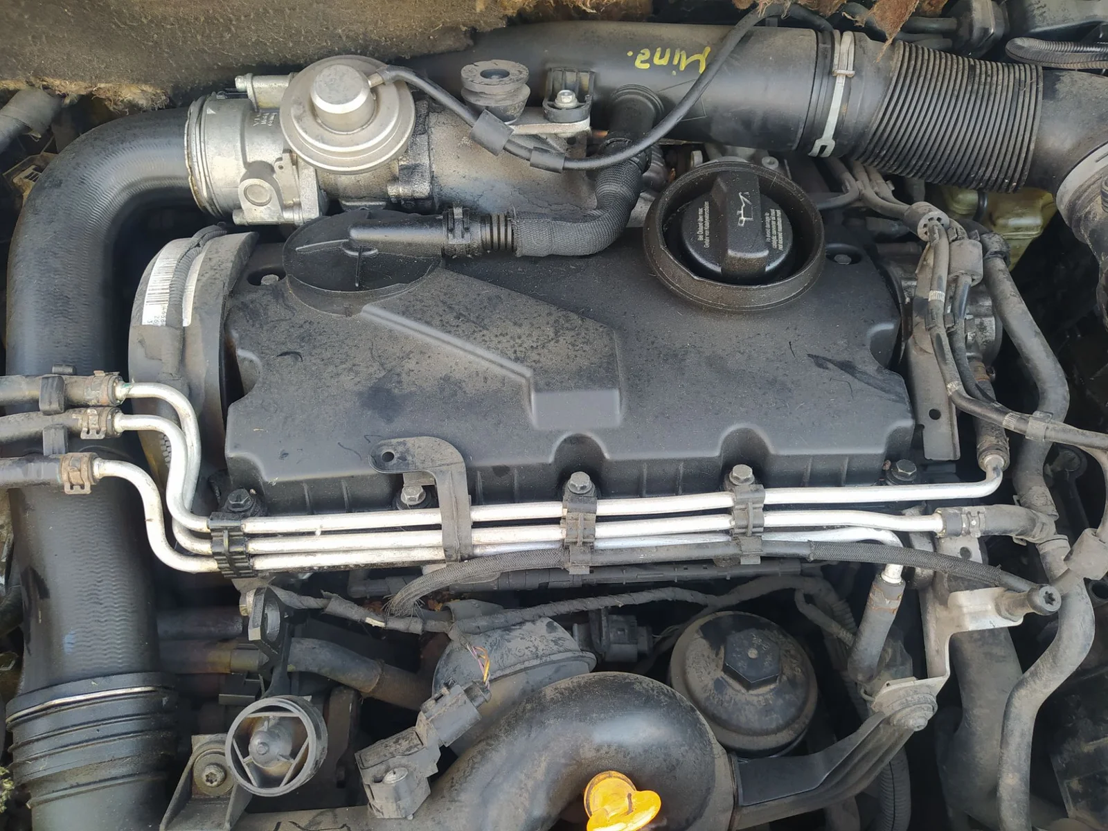 Foto de MOTOR COMPLETO VOLKSWAGEN GOLF PLUS V (5M1) 1.9 TDI (105 CV / 77 KW) referencia BKC