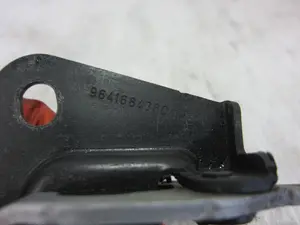Foto de CERRADURA CAPO CITROEN C2 1.4 (73 CV / 54 KW) referencia 9641684380 foto 2