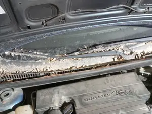 Foto de BRAZO LIMPIA DELANTERO DERECHO FORD FIESTA (CBK) 1.25 16V CAT (69 CV / 51 KW) referencia 1821012