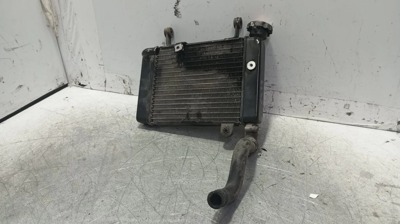 Foto de RADIADOR AGUA HONDA CBR 125R 125 cm3 - 10 kW G-CAT (14 CV / 10 KW) referencia 19010KTYH51