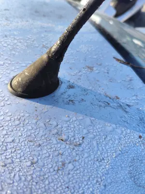 Foto de BASE DE ANTENA SEAT CORDOBA BERLINA (6L2) 1.9 TDI (131 CV / 96 KW)