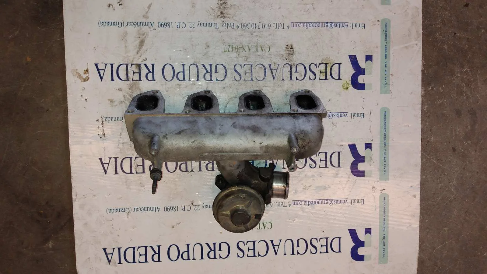 Foto de COLECTOR ADMISION FORD FOCUS BERLINA (CAK)