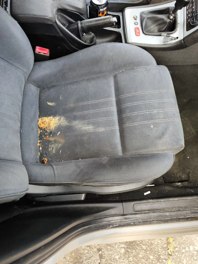 Foto de ASIENTO DELANTERO DERECHO ALFA ROMEO 159 (140) 1.9 JTD (M) 16V CAT (150 CV / 110 KW) referencia 51754706