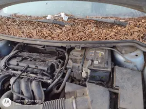 Foto de MOTOR LIMPIA DELANTERO FORD FOCUS SPORTBREAK (CAP) 1.6 16V CAT (101 CV / 74 KW) referencia 1704578