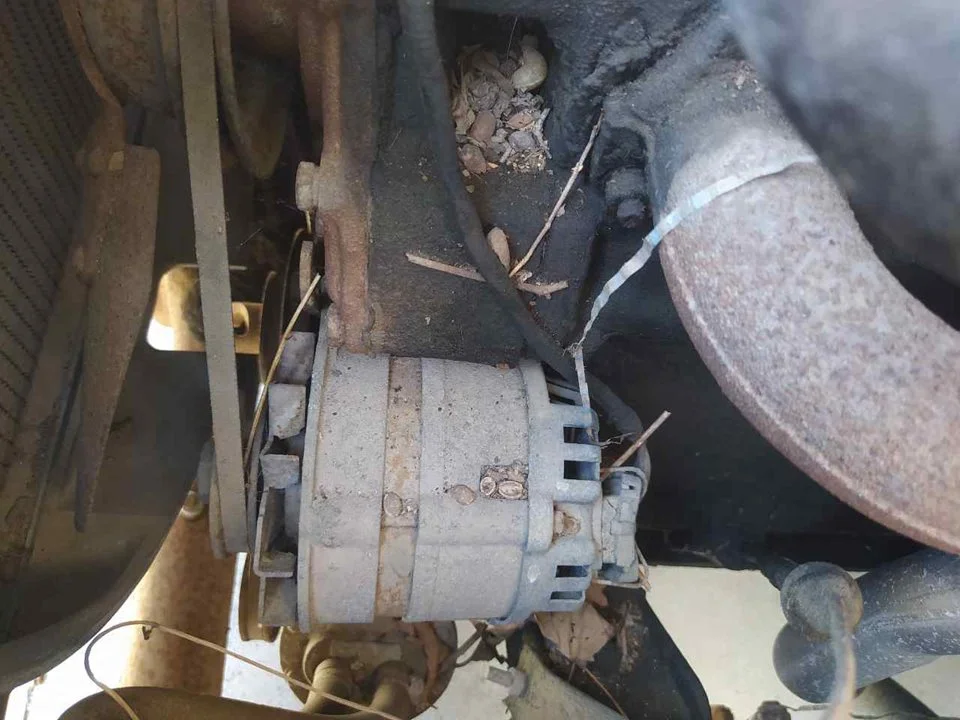 Foto de ALTERNADOR LAND ROVER ROVER SANTANA ROVER (14,42 CVF)