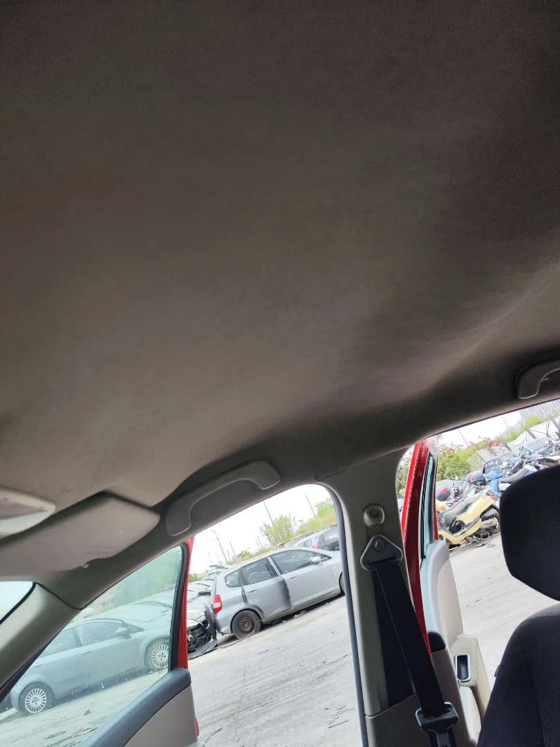 Foto de TECHO INTERIOR RENAULT CLIO III 1.5 dCi Diesel CAT (86 CV / 63 KW)