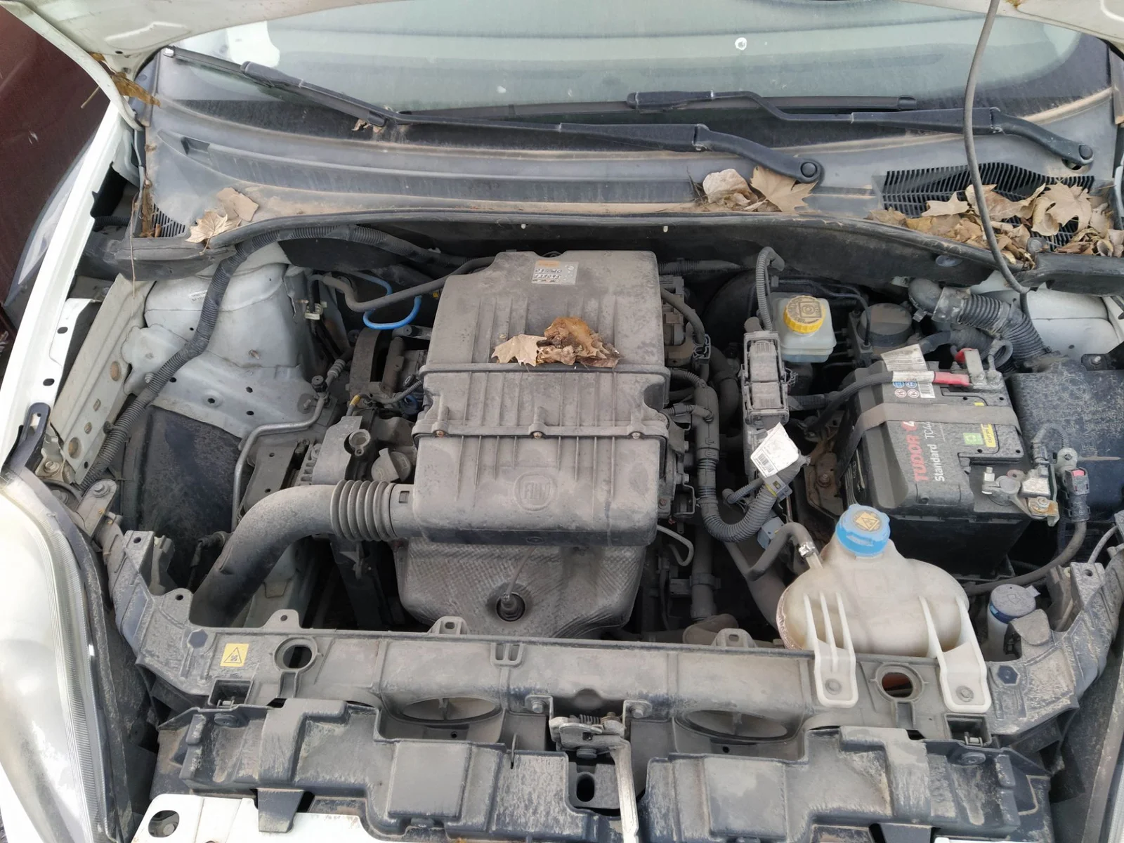 Foto de RADIADOR CALEFACCION / AIRE ACONDICIONADO FIAT III PUNTO (199) 1.4 CAT (78 CV / 57 KW) referencia 0077365032