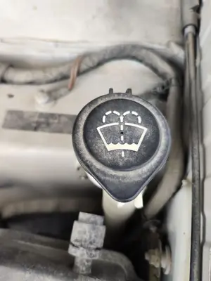 Foto de DEPOSITO LIMPIA LAND ROVER RANGE ROVER (LM) 4.4 V8 CAT (306 CV / 225 KW)