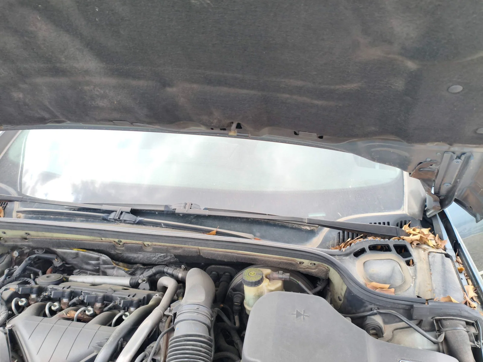 Foto de BRAZO LIMPIA DELANTERO DERECHO PEUGEOT 407 SW 2.0 16V HDi FAP CAT (RHR / DW10BTED4) (136 CV / 100 KW)