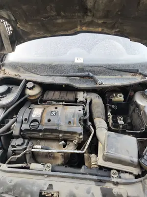Foto de TORPEDO PEUGEOT 206 1.6 16V CAT (109 CV / 80 KW)